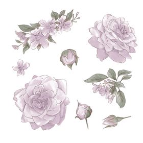 手绘鲜花