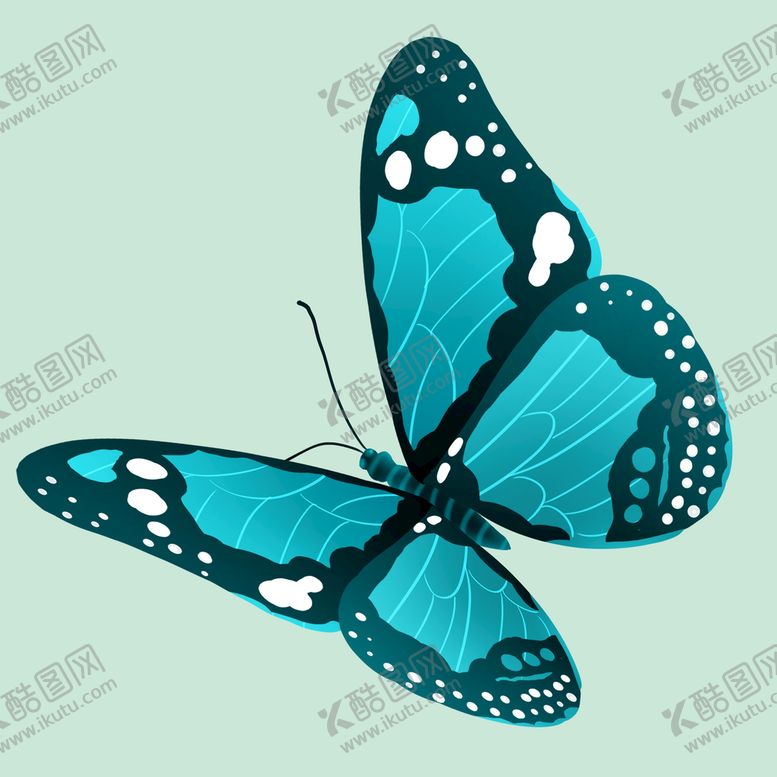 编号：20973109210717273681【酷图网】源文件下载-蝴蝶