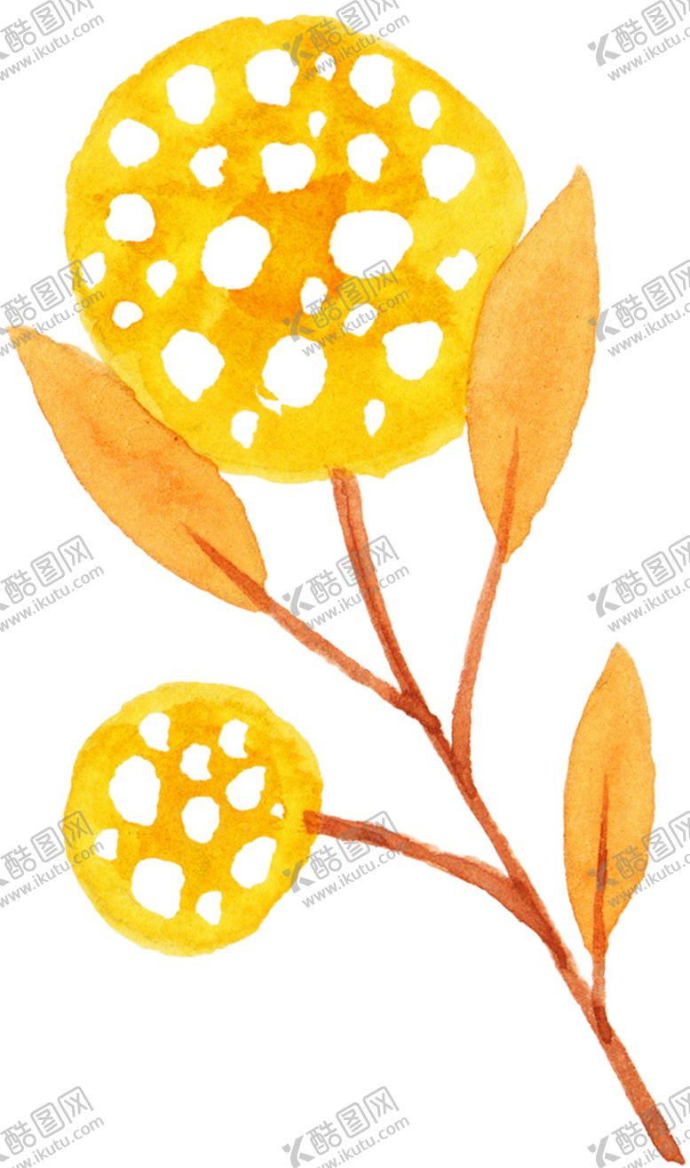 编号：27100205140247595672【酷图网】源文件下载-水彩植物