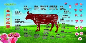 牛肉部位分割图