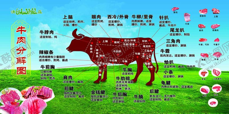 编号：84760802280855495766【酷图网】源文件下载-牛肉部位分割图