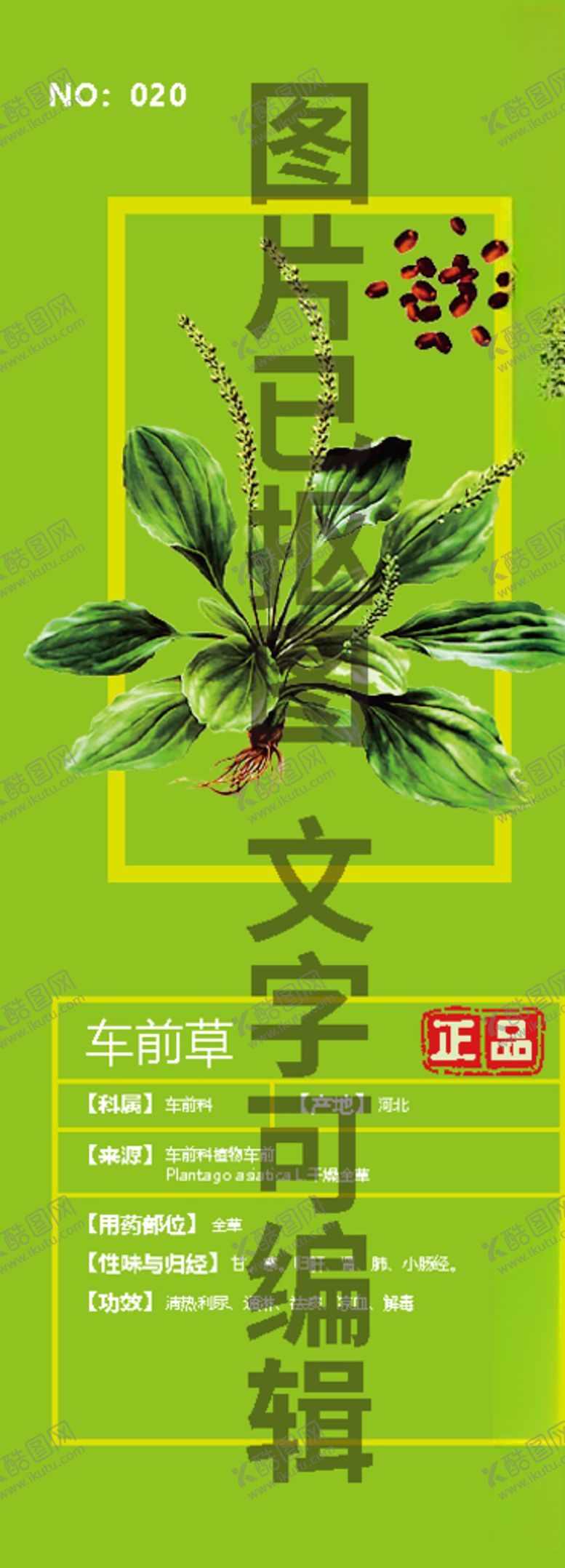 编号：32051905061137111896【酷图网】源文件下载-车前草