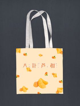 芦柑包包效果图