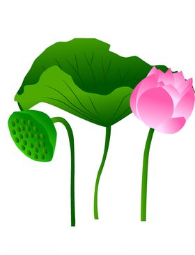 卡通荷花