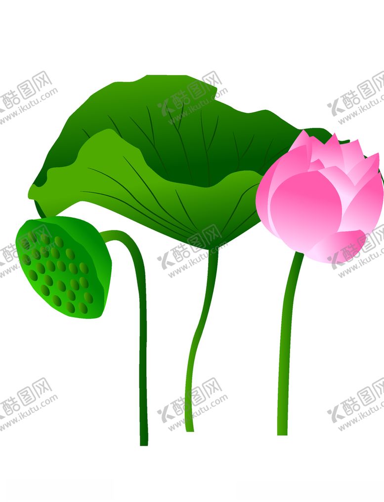 编号：40886005020545242693【酷图网】源文件下载-卡通粉色荷花插画