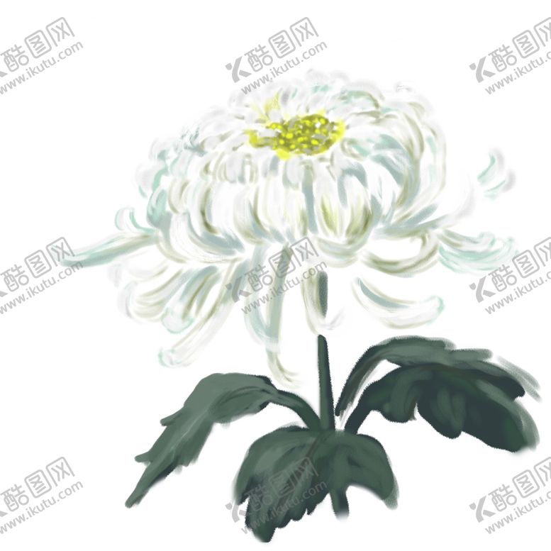 编号：65813509280807366409【酷图网】源文件下载-菊花