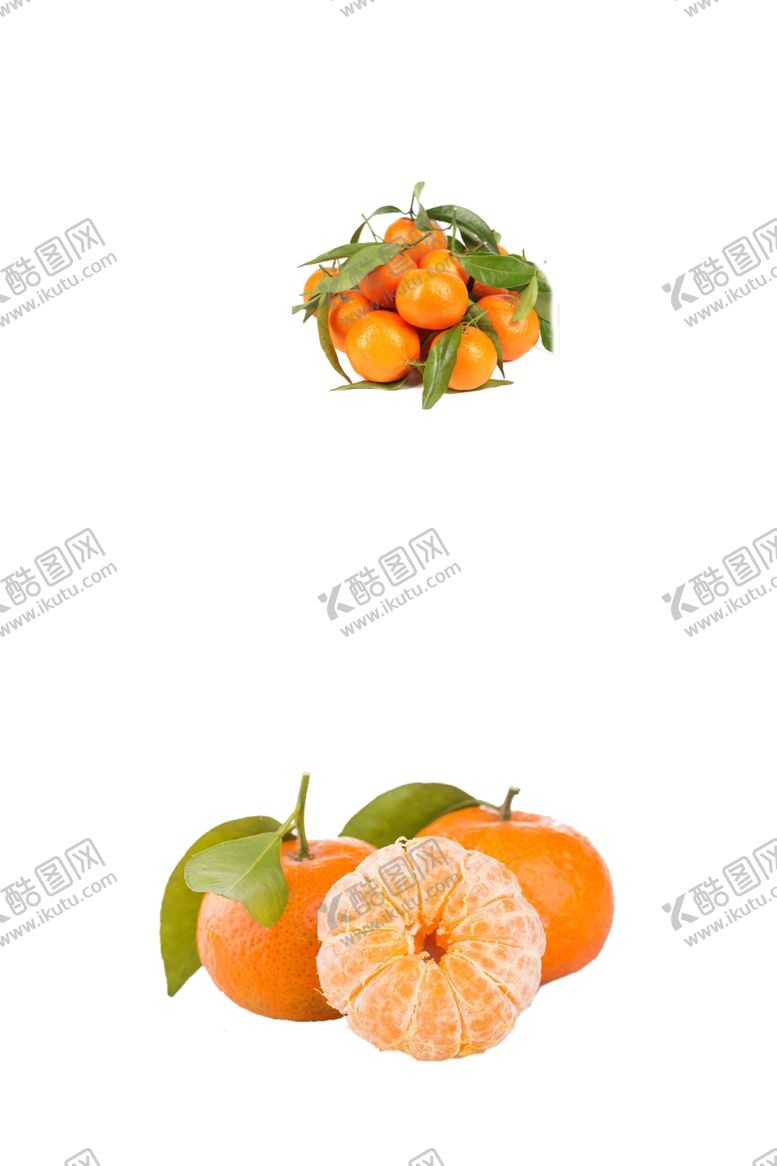 编号：72816110100317504726【酷图网】源文件下载-桔子图片素材