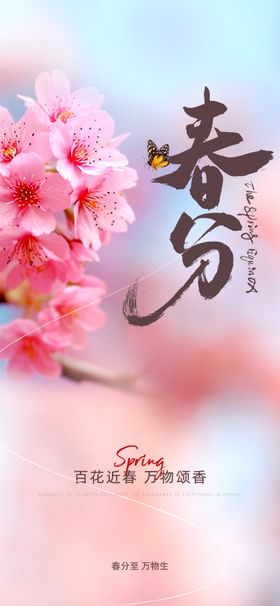 春分节气海报天风燕子