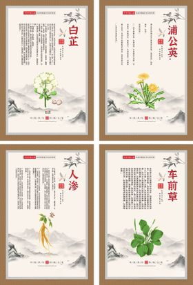 简约中医中药药材宣传海报