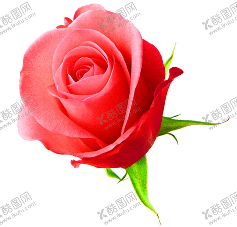 编号：17103609232253038453【酷图网】源文件下载-浪漫素材