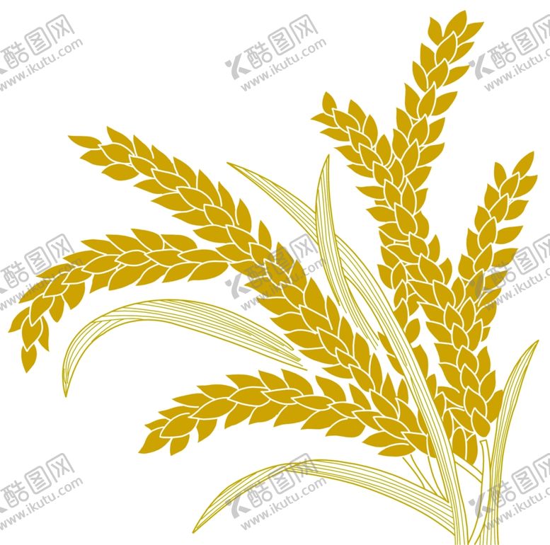编号：49792810190819183676【酷图网】源文件下载-麦穗