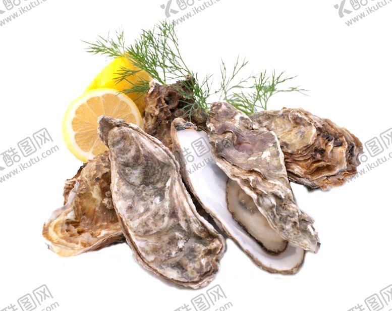 编号：76156909140019479779【酷图网】源文件下载-美食海报