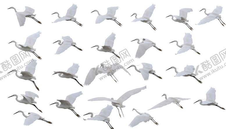 编号：54083609201130304685【酷图网】源文件下载-仙鹤