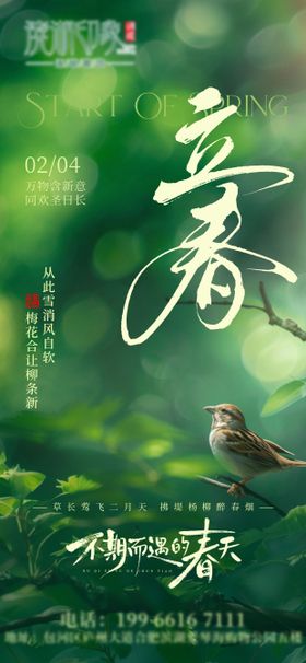 立春实景绿色植物鸟节气横板海报