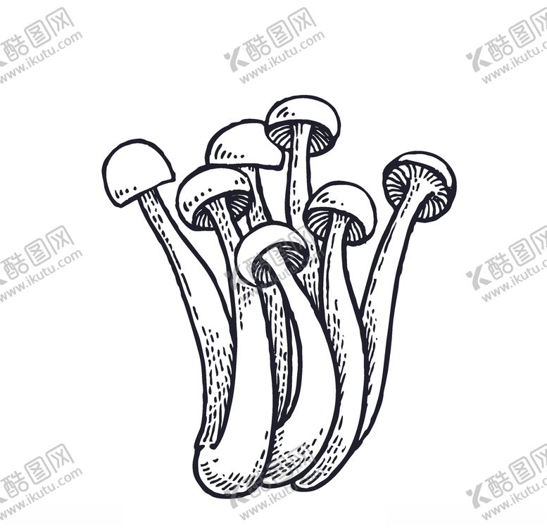 编号：97577110020610571540【酷图网】源文件下载-蘑菇