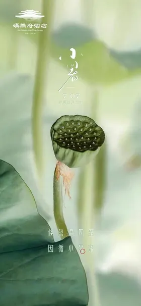 夏至节气海报
