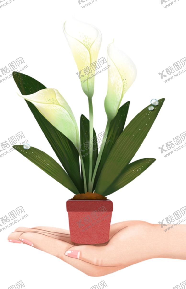 编号：61424305121338187586【酷图网】源文件下载-手绘鲜花盆栽