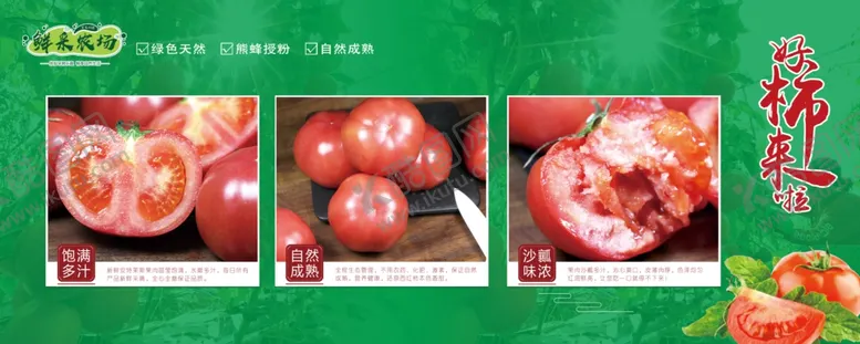 编号：59825506292037105897【酷图网】源文件下载-美味番茄展示