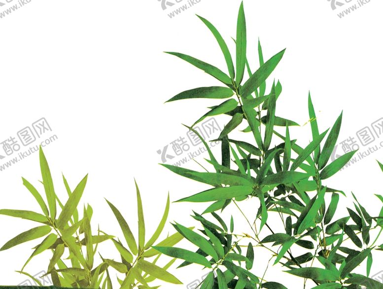 编号：21280511010412325517【酷图网】源文件下载-水墨竹子