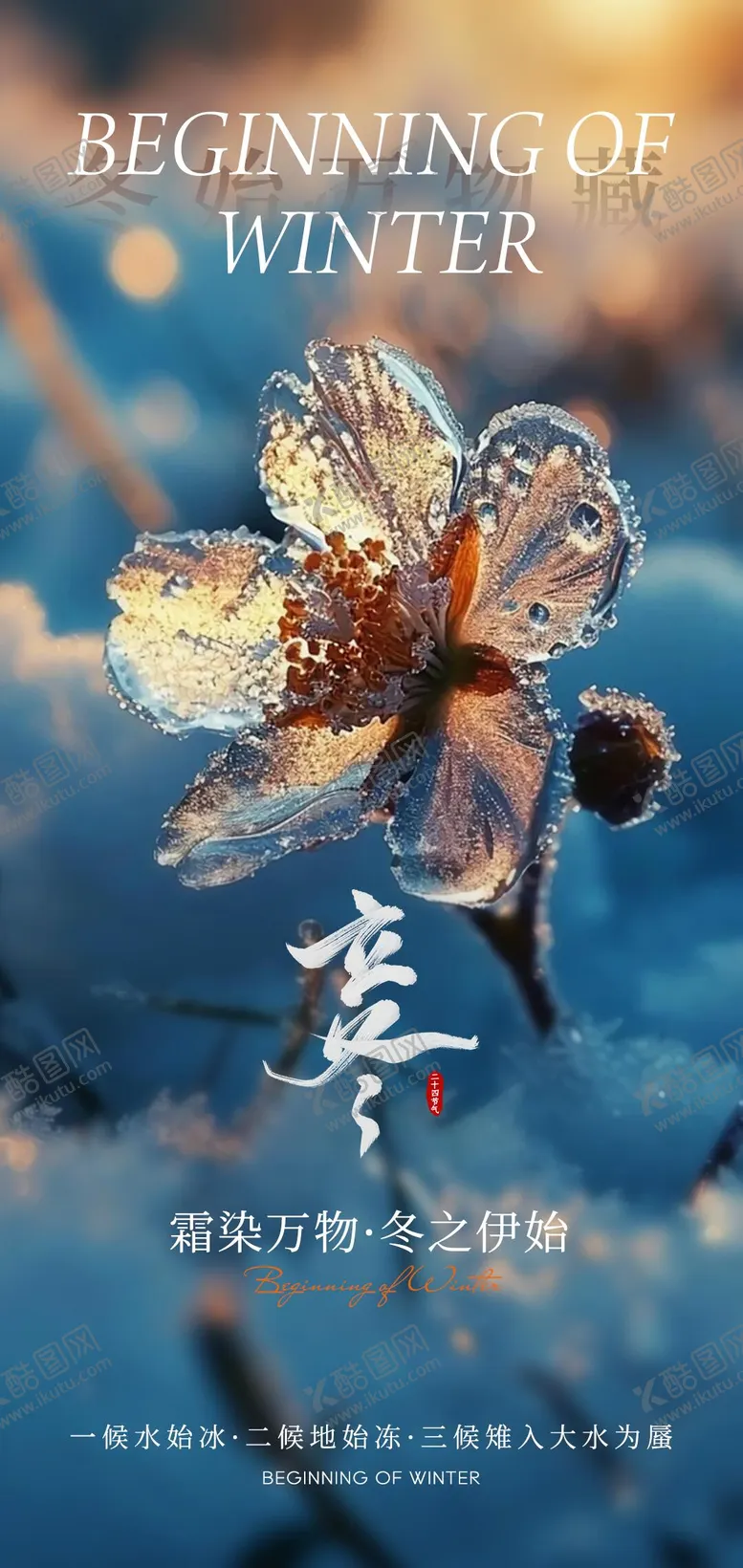 编号：91266212050208567451【酷图网】源文件下载-立冬节气海报