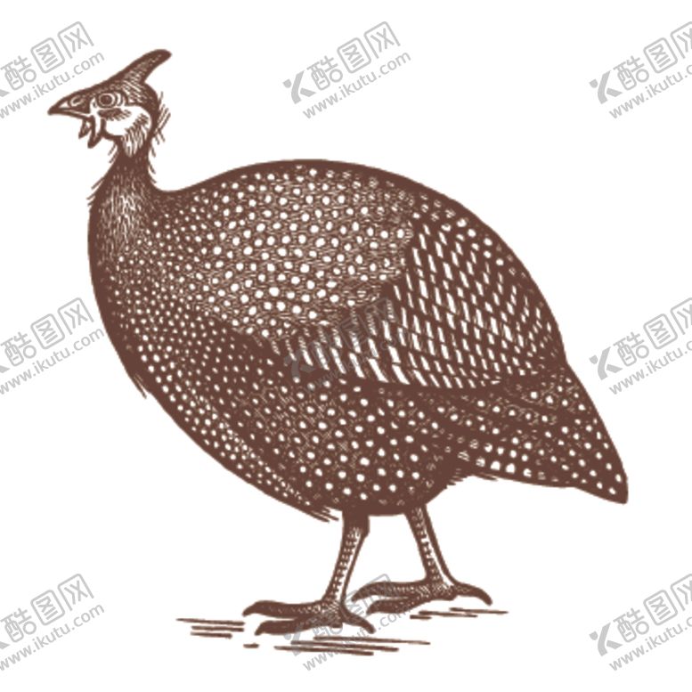 编号：47373305141812118680【酷图网】源文件下载-家养动物主题插画