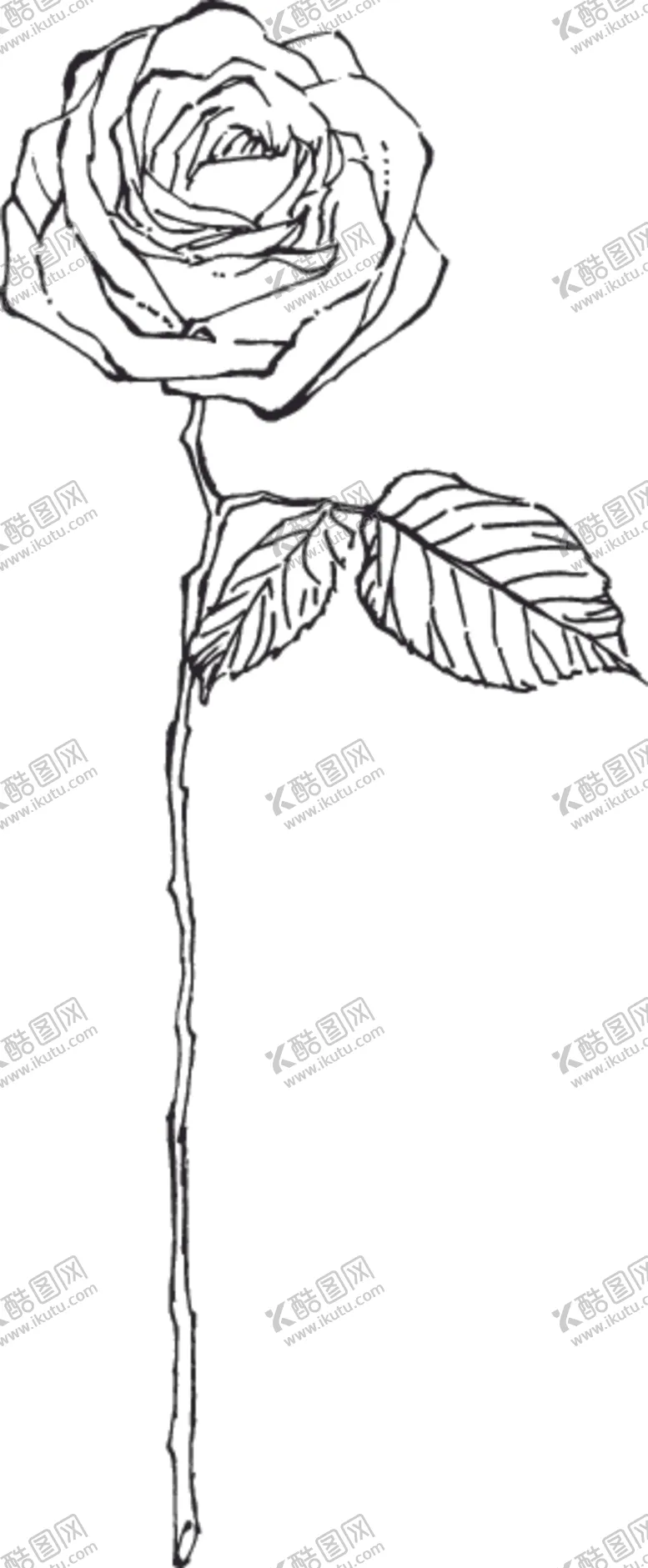 编号：66347106231953077025【酷图网】源文件下载-素描鲜花
