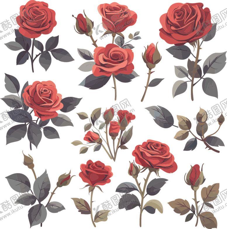 编号：37266811021241513275【酷图网】源文件下载-手绘红玫瑰