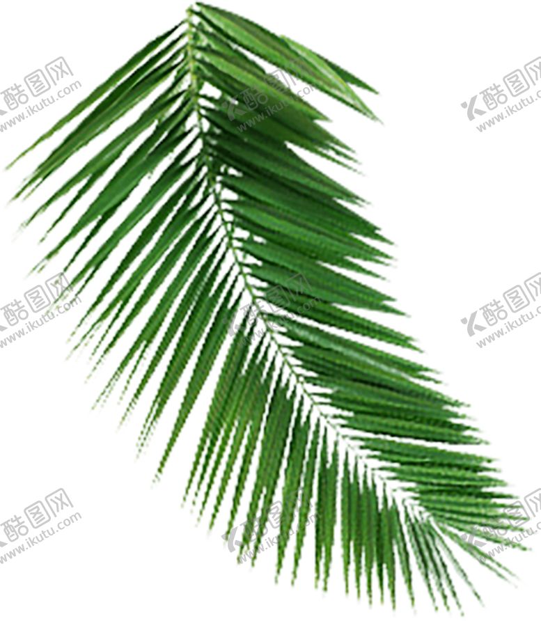 编号：71162711010859084345【酷图网】源文件下载-植物