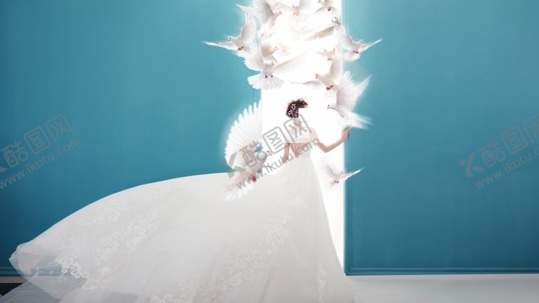 编号：83780310150737319833【酷图网】源文件下载-婚纱照鸽子素材