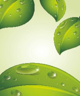 水滴