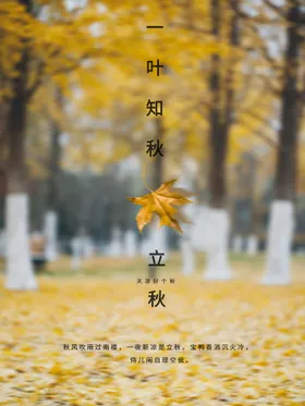 立秋一叶知地产风海报