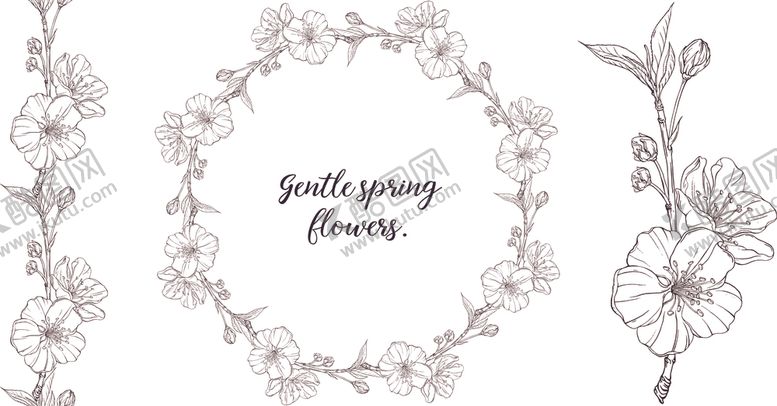 编号：17947710012000336457【酷图网】源文件下载-植物花边