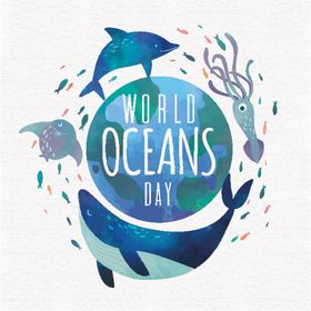 手绘海洋生物海豚矢量插画