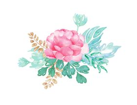 花卉素材