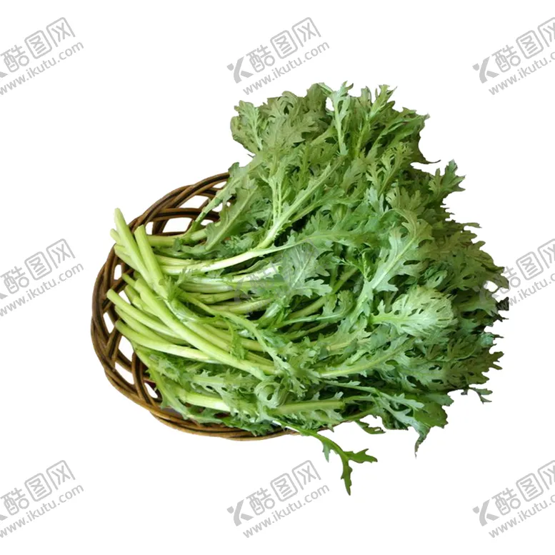 编号：28964109121520295841【酷图网】源文件下载-茼蒿