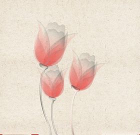 矢量动物矢量植物插画手绘