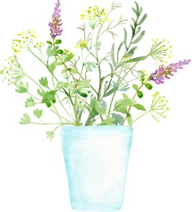 png格式植物花卉手绘素材盆栽插图朵薰衣草