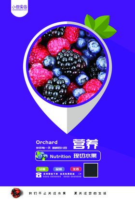 水果海报