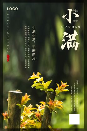 手绘水墨风小满海报山水简约大气