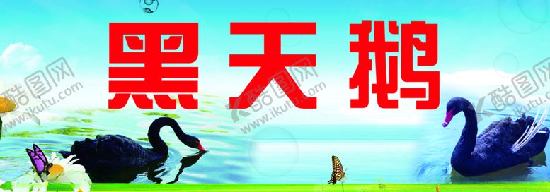 编号：96011809110521289332【酷图网】源文件下载-黑天鹅