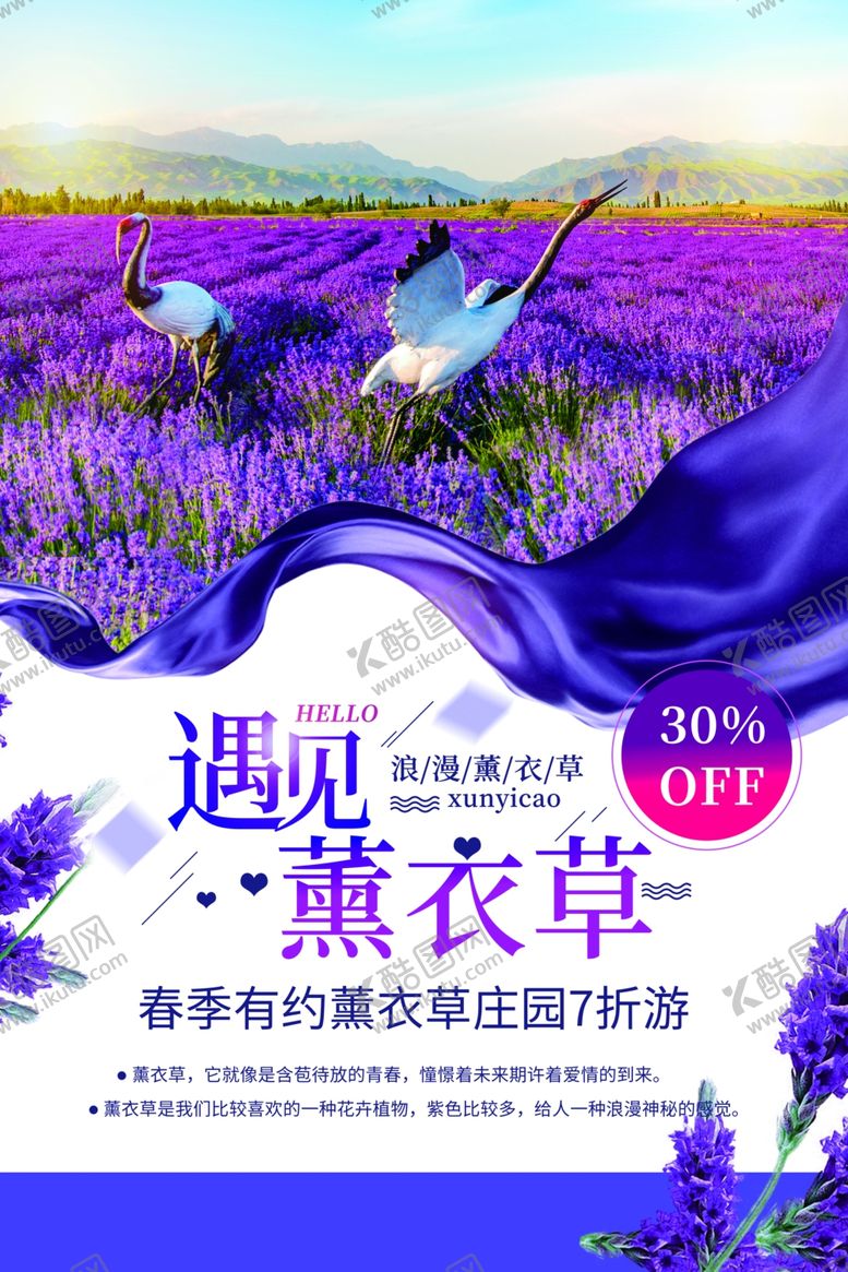 编号：44769709111943115547【酷图网】源文件下载-薰衣草