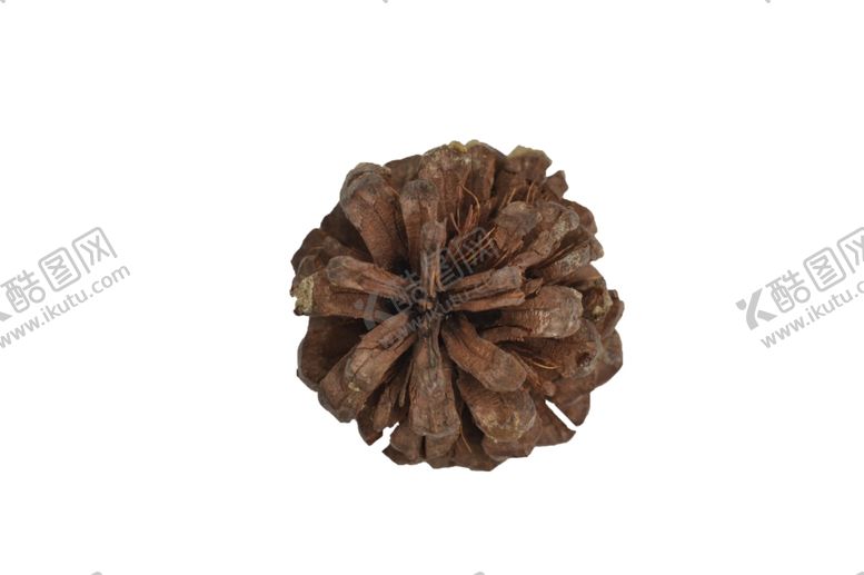 编号：92524109160427078813【酷图网】源文件下载-松子