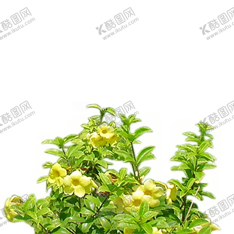 编号：48526506250249467198【酷图网】源文件下载-绿色相框
