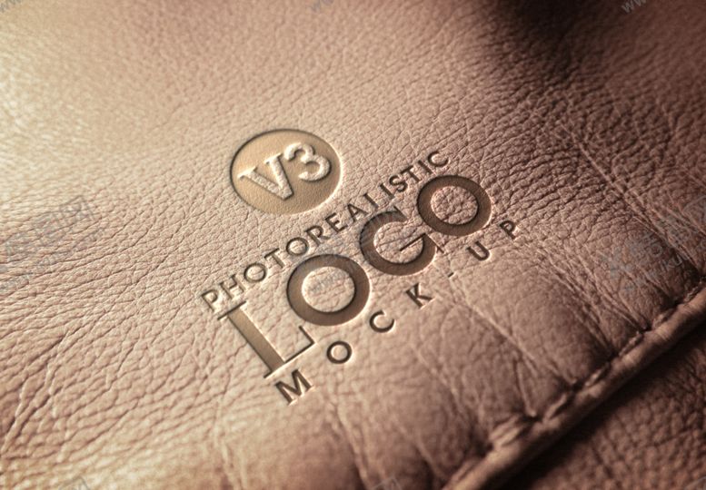 编号：86878109251821106675【酷图网】源文件下载-LOGO样机