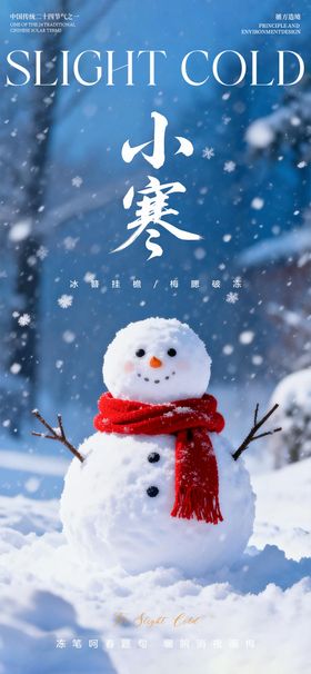 小寒节气海报