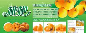 枇杷