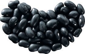 秋季养生黑豆茶