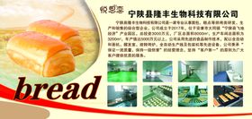 公司简介