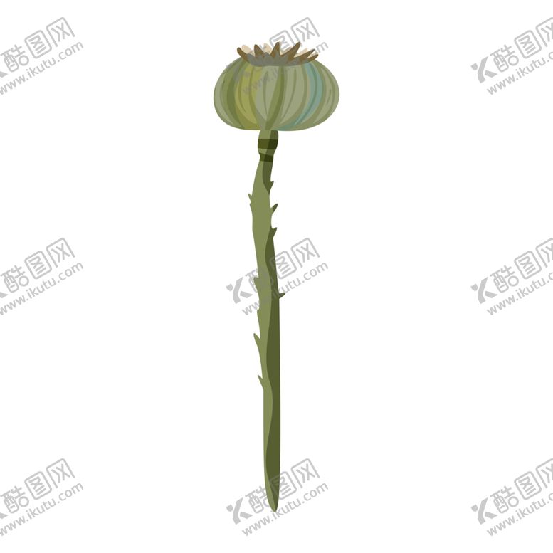 编号：95023206241642056748【酷图网】源文件下载-森系花枝