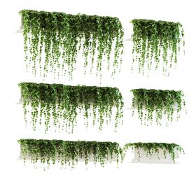 植物背景墙效果图玫瑰壁纸